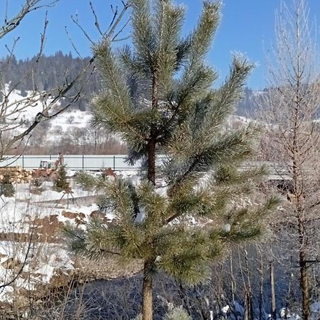 Затишний Будиночок Bukovets Exteriör bild