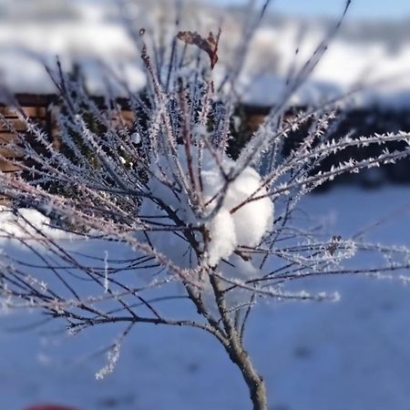 Затишний Будиночок Bukovets Exteriör bild