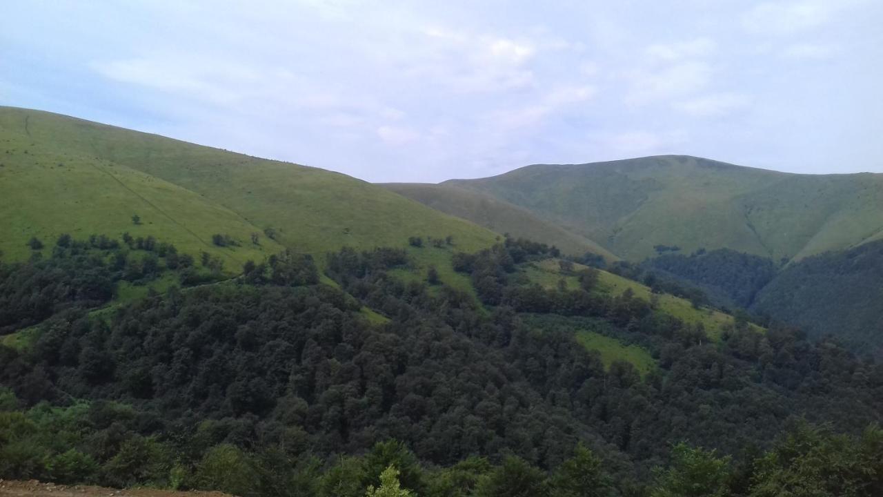 Затишний Будиночок Bukovets Exteriör bild