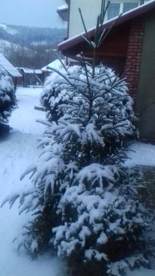 Затишний Будиночок Bukovets Exteriör bild