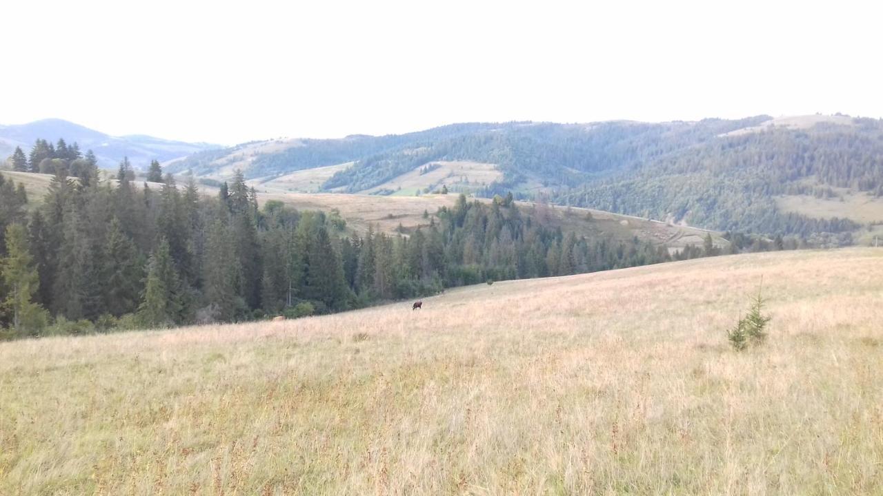 Затишний Будиночок Bukovets Exteriör bild