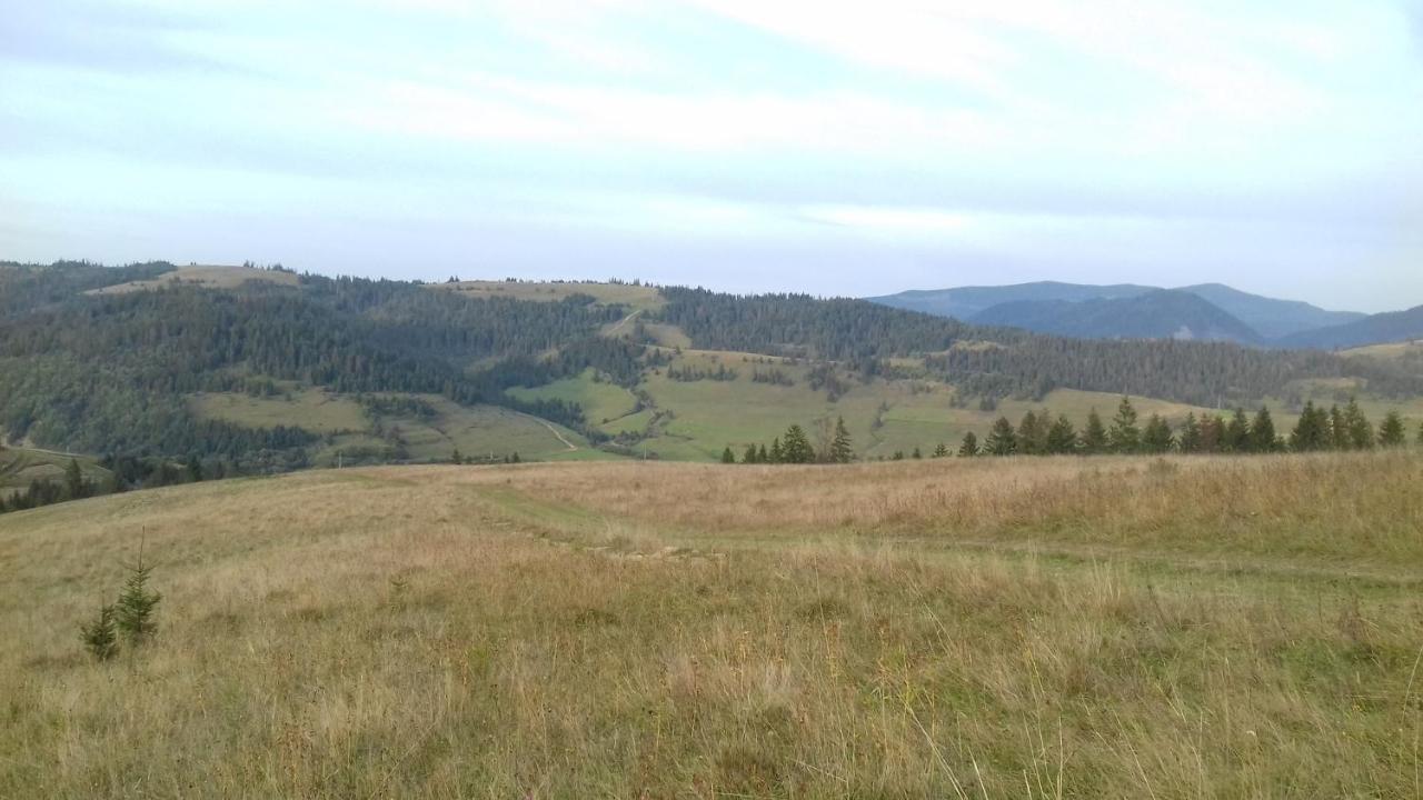 Затишний Будиночок Bukovets Exteriör bild