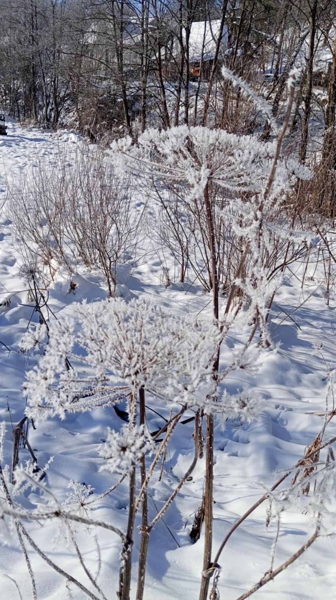 Затишний Будиночок Bukovets Exteriör bild